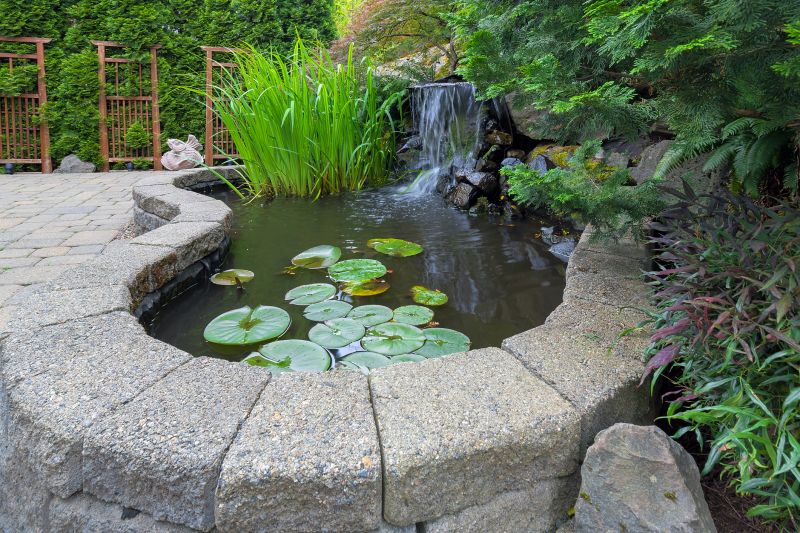 Pond Cleaning Service