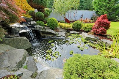 Enhances pond beauty.